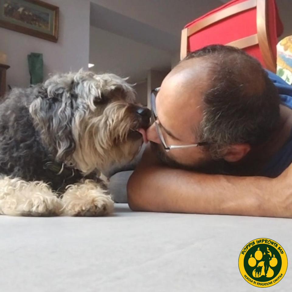 Doppia Impronta - Scuola di Educazione Cinofila - Asilo per Cani blog