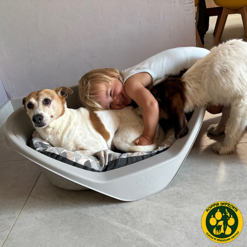 Doppia Impronta - Scuola di Educazione Cinofila - Asilo per Cani blog