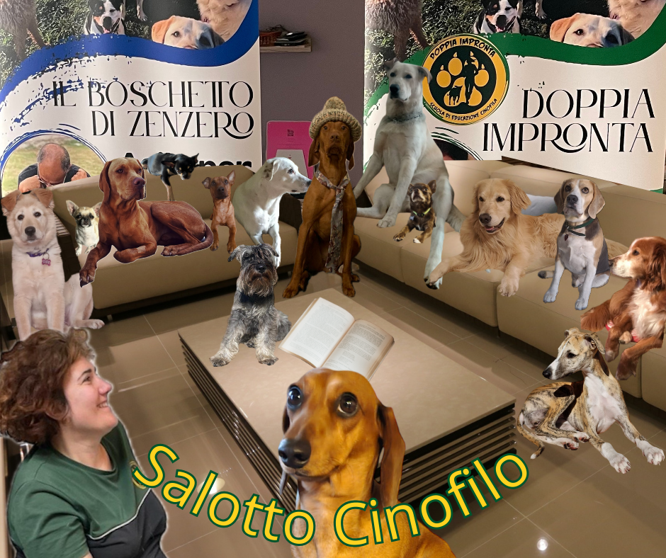 Doppia Impronta - Scuola di Educazione Cinofila - Asilo per Cani blog
